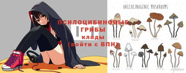 прущие крисы Коряжма