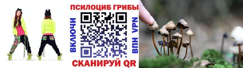 Псилоцибиновые грибы Psilocybe  MEGA рабочий сайт  Шимановск  дарнет шоп 